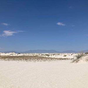 Meet your Posher, Joey